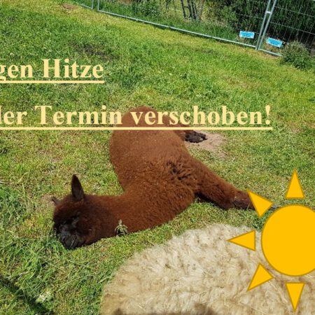 Alpaka-Wanderung  22.06.2025  !fällt aus wegen Hitze!