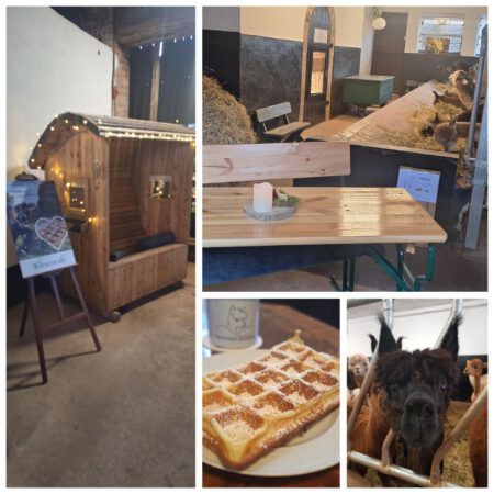 Winterzauber - Stallzeit 20.12.2025 15.00