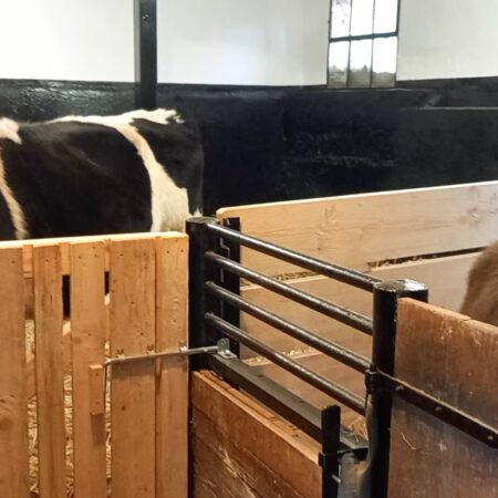 Winterzauber - Stallzeit 10.01.2026 11.00